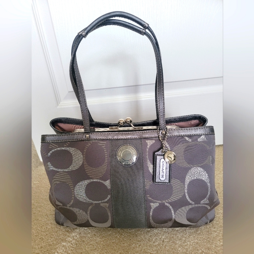 Coach Silver Purse